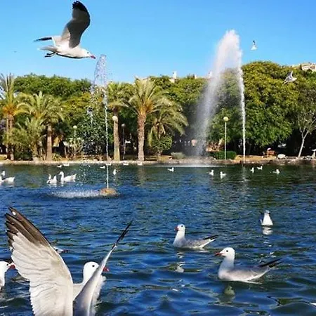Experience Mar 2 Torrevieja